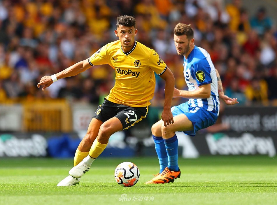 防线稳定性 防线稳定性